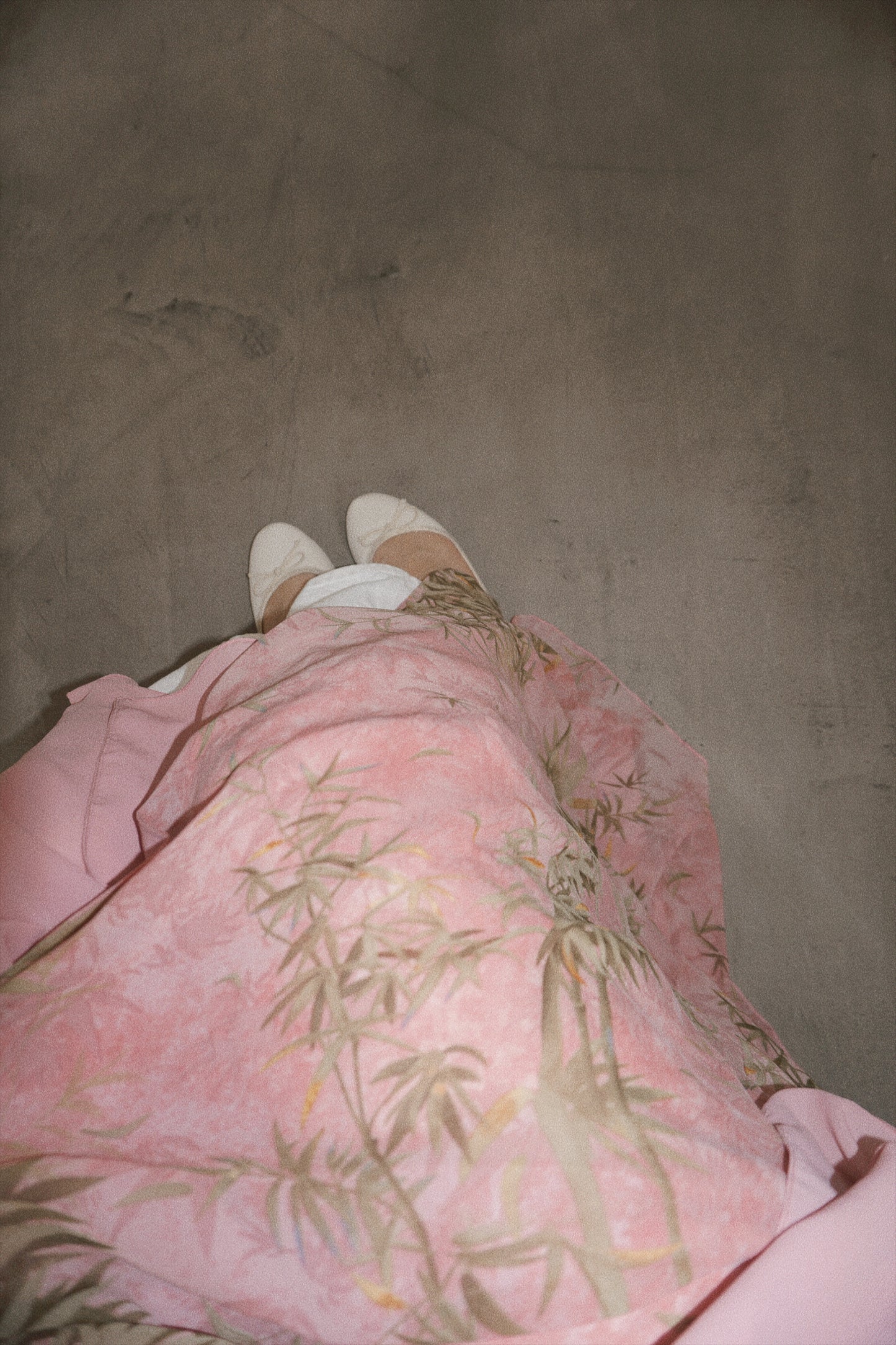 81. spring's sprung